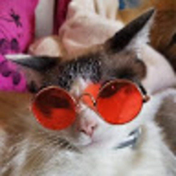 Meet your Posher, Carlos - Picture 1 of 1